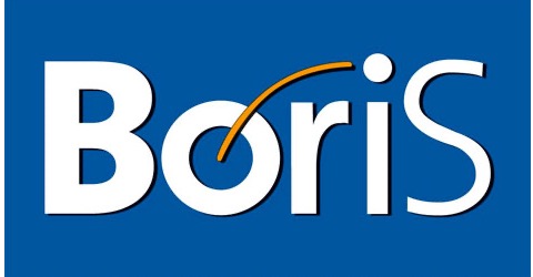 BoriS – Berufswahl-Siegel